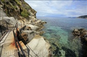 Küstenweg in der Bucht von S. Andrea (Italien, Elba) - Bay of S.Andrea (Italy, Elba)