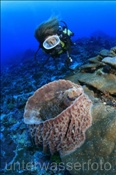 Taucherin enrkundet ein Korallenriff (Alor, Banda-See, Indonesien) - Scubadiver and Coral Reef (Alor, Banda-Sea, Indonesia)