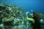 Taucherin fotografiert das Korallenriff (Ari Atoll, Malediven, Indischer Ozean) - Scuba diver take pictures of the reef (Ari Atoll, Maldives, Indian Ocean)