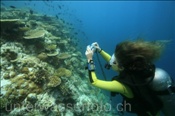 Taucherin fotografiert das Korallenriff (Ari Atoll, Malediven, Indischer Ozean) - Scuba diver take pictures of the reef (Ari Atoll, Maldives, Indian Ocean)