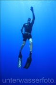 Freitaucher im Blauwasser (Sharm el Sheikh, Ägypten, Rotes Meer) - Freediver (Sharm el Sheikh, Aegypt, Red Sea)